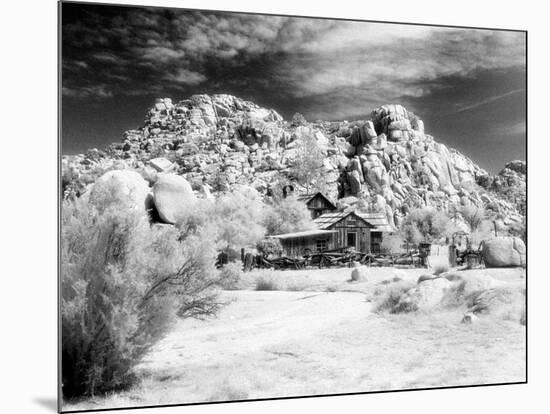 Desert Queen Ranch, Joshua Tree National Park, California, USA-Janell Davidson-Mounted Photographic Print
