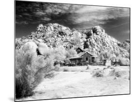 Desert Queen Ranch, Joshua Tree National Park, California, USA-Janell Davidson-Mounted Photographic Print