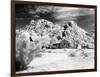 Desert Queen Ranch, Joshua Tree National Park, California, USA-Janell Davidson-Framed Photographic Print