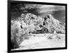 Desert Queen Ranch, Joshua Tree National Park, California, USA-Janell Davidson-Framed Photographic Print