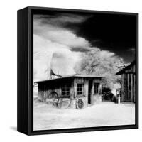 Desert Queen Ranch, Joshua Tree National Park, California, USA-Janell Davidson-Framed Stretched Canvas