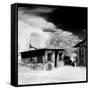 Desert Queen Ranch, Joshua Tree National Park, California, USA-Janell Davidson-Framed Stretched Canvas