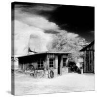 Desert Queen Ranch, Joshua Tree National Park, California, USA-Janell Davidson-Stretched Canvas
