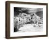 Desert Queen Ranch, Joshua Tree National Park, California, USA-Janell Davidson-Framed Photographic Print