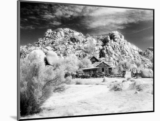 Desert Queen Ranch, Joshua Tree National Park, California, USA-Janell Davidson-Mounted Photographic Print