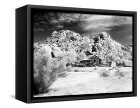 Desert Queen Ranch, Joshua Tree National Park, California, USA-Janell Davidson-Framed Stretched Canvas
