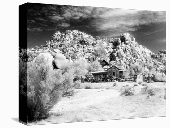 Desert Queen Ranch, Joshua Tree National Park, California, USA-Janell Davidson-Stretched Canvas