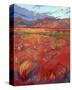 Desert Rainbow (center)-Erin Hanson-Stretched Canvas