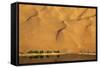 Desert reflection. Badain Jaran Desert, Inner Mongolia, China.-Ellen Anon-Framed Stretched Canvas