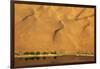 Desert reflection. Badain Jaran Desert, Inner Mongolia, China.-Ellen Anon-Framed Photographic Print