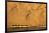 Desert reflection. Badain Jaran Desert, Inner Mongolia, China.-Ellen Anon-Framed Photographic Print