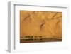 Desert reflection. Badain Jaran Desert, Inner Mongolia, China.-Ellen Anon-Framed Photographic Print