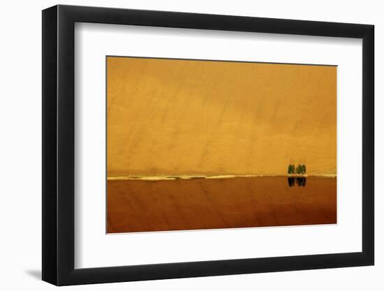 Desert reflection. Badain Jaran Desert, Inner Mongolia, China.-Ellen Anon-Framed Photographic Print