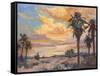 Desert Repose I-Nanette Oleson-Framed Stretched Canvas