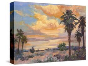 Desert Repose I-Nanette Oleson-Stretched Canvas