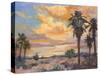 Desert Repose I-Nanette Oleson-Stretched Canvas