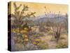 Desert Repose IV-Nanette Oleson-Stretched Canvas