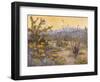 Desert Repose IV-Nanette Oleson-Framed Art Print