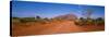 Desert Road and Ayers Rock, Australia-null-Stretched Canvas