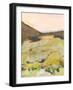 Desert Road Trip I-Jodi Fuchs-Framed Art Print