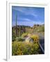 Desert Road with Cactus and Brittlebush-James Randklev-Framed Photographic Print