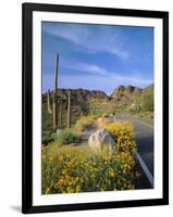 Desert Road with Cactus and Brittlebush-James Randklev-Framed Photographic Print