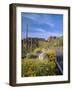 Desert Road with Cactus and Brittlebush-James Randklev-Framed Photographic Print