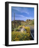 Desert Road with Cactus and Brittlebush-James Randklev-Framed Photographic Print