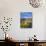 Desert Road with Cactus and Brittlebush-James Randklev-Photographic Print displayed on a wall