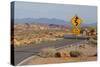 Desert Roads I-Lee Peterson-Stretched Canvas