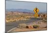 Desert Roads I-Lee Peterson-Mounted Photographic Print