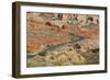 Desert Roads II-Lee Peterson-Framed Photographic Print