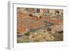 Desert Roads II-Lee Peterson-Framed Photographic Print