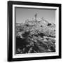 Desert Rock Formation-null-Framed Photographic Print