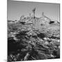 Desert Rock Formation-null-Mounted Photographic Print