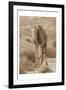 Desert Runner 2-Sheldon Lewis-Framed Art Print