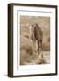 Desert Runner 2-Sheldon Lewis-Framed Art Print