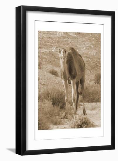 Desert Runner 2-Sheldon Lewis-Framed Art Print