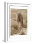 Desert Runner 2-Sheldon Lewis-Framed Art Print