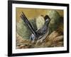 Desert Runner-Trevor V. Swanson-Framed Giclee Print