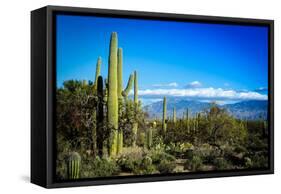 Desert Scape-CameramanHamilton-Framed Stretched Canvas