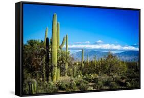 Desert Scape-CameramanHamilton-Framed Stretched Canvas