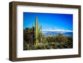 Desert Scape-CameramanHamilton-Framed Photographic Print