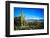 Desert Scape-CameramanHamilton-Framed Photographic Print