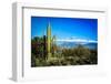 Desert Scape-CameramanHamilton-Framed Photographic Print