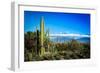 Desert Scape-CameramanHamilton-Framed Photographic Print