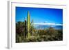 Desert Scape-CameramanHamilton-Framed Photographic Print