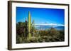 Desert Scape-CameramanHamilton-Framed Photographic Print