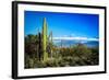 Desert Scape-CameramanHamilton-Framed Photographic Print