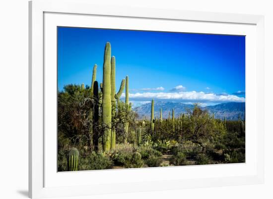 Desert Scape-CameramanHamilton-Framed Photographic Print